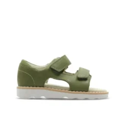 Crown Root Toddler - Standard Fit