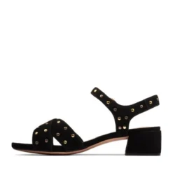 Sheer35 Strap -StrideVibe Store 26148872 E