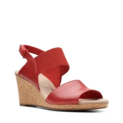 StrideVibe Store -StrideVibe Store 26150030 B