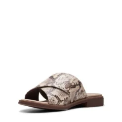 Declan Ivy -StrideVibe Store 26150056 D