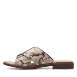 Declan Ivy -StrideVibe Store 26150056 E