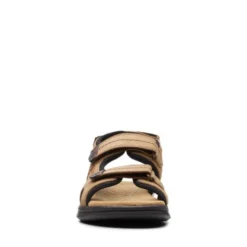 Hapsford Trail -StrideVibe Store 26158088 C