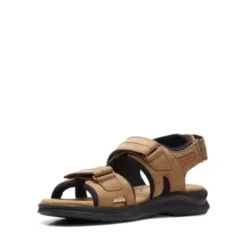 Hapsford Trail -StrideVibe Store 26158088 D