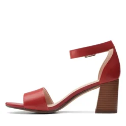 Jocelynne Cam -StrideVibe Store 26159415 E