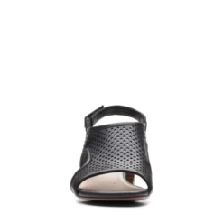 Caroleigh Star -StrideVibe Store 26165096 C